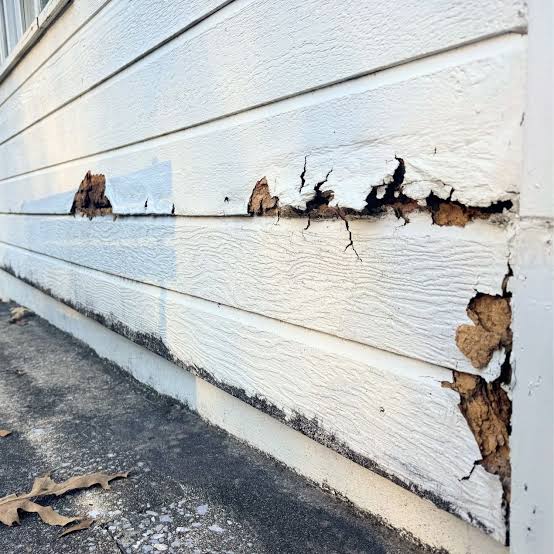 Siding rotting and crumbling near the base of a wall